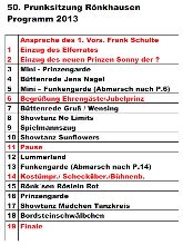 programm 2013